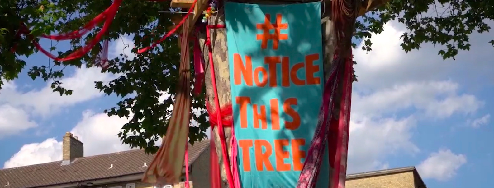 Notice this tree